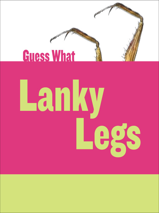 Title details for Lanky Legs: Praying Mantis by Felicia Macheske - Available